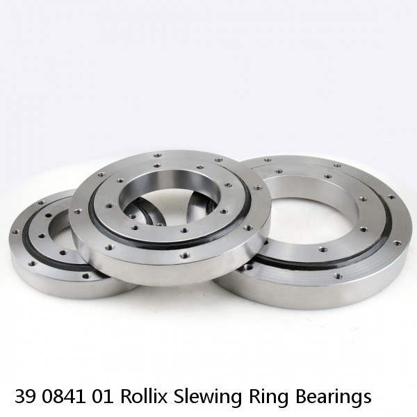 39 0841 01 Rollix Slewing Ring Bearings