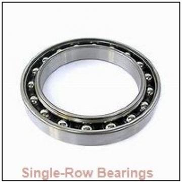 SKF 6007-2RS1NR  Single Row Ball Bearings
