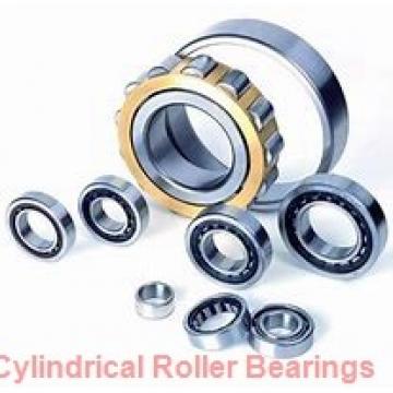 2.165 Inch | 55 Millimeter x 4.724 Inch | 120 Millimeter x 1.693 Inch | 43 Millimeter  CONSOLIDATED BEARING NJ-2311E C/4  Cylindrical Roller Bearings