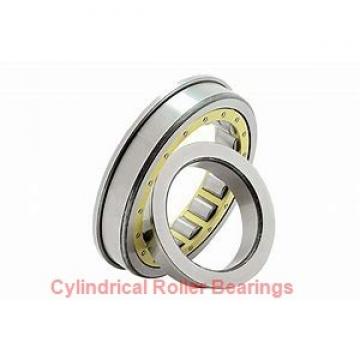 3.74 Inch | 95 Millimeter x 7.874 Inch | 200 Millimeter x 1.772 Inch | 45 Millimeter  CONSOLIDATED BEARING NJ-319E M W/23  Cylindrical Roller Bearings