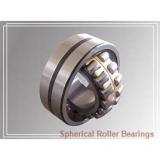 560 mm x 750 mm x 140 mm  FAG 239/560-B-K-MB  Spherical Roller Bearings