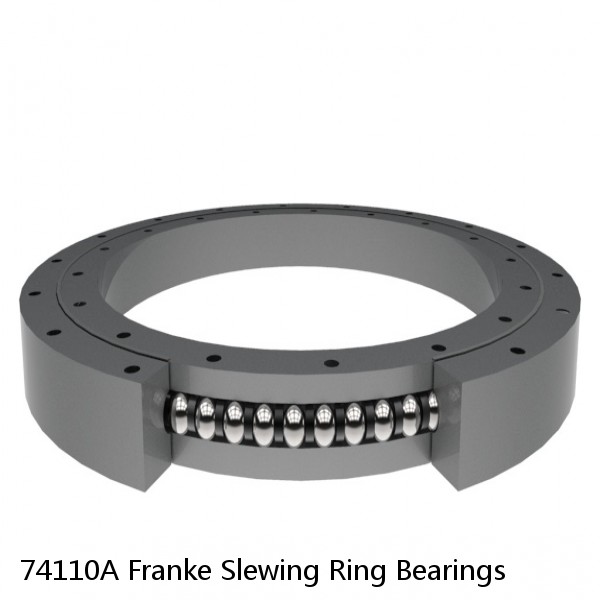 74110A Franke Slewing Ring Bearings #1 small image