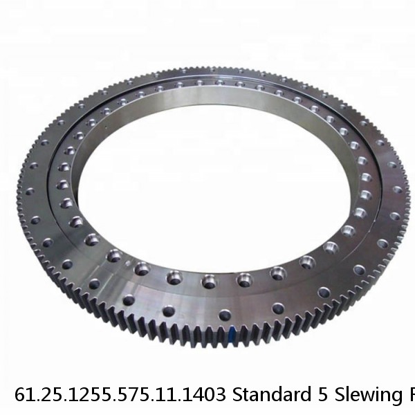 61.25.1255.575.11.1403 Standard 5 Slewing Ring Bearings