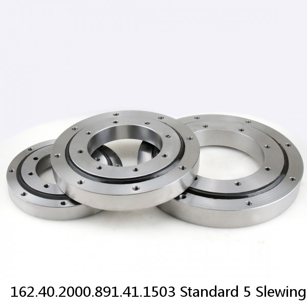 162.40.2000.891.41.1503 Standard 5 Slewing Ring Bearings #1 small image