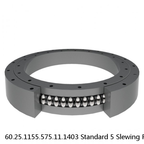 60.25.1155.575.11.1403 Standard 5 Slewing Ring Bearings