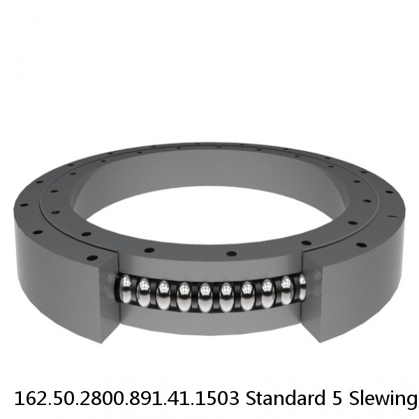 162.50.2800.891.41.1503 Standard 5 Slewing Ring Bearings #1 small image