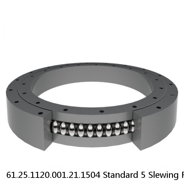 61.25.1120.001.21.1504 Standard 5 Slewing Ring Bearings #1 small image
