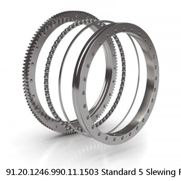 91.20.1246.990.11.1503 Standard 5 Slewing Ring Bearings #1 small image