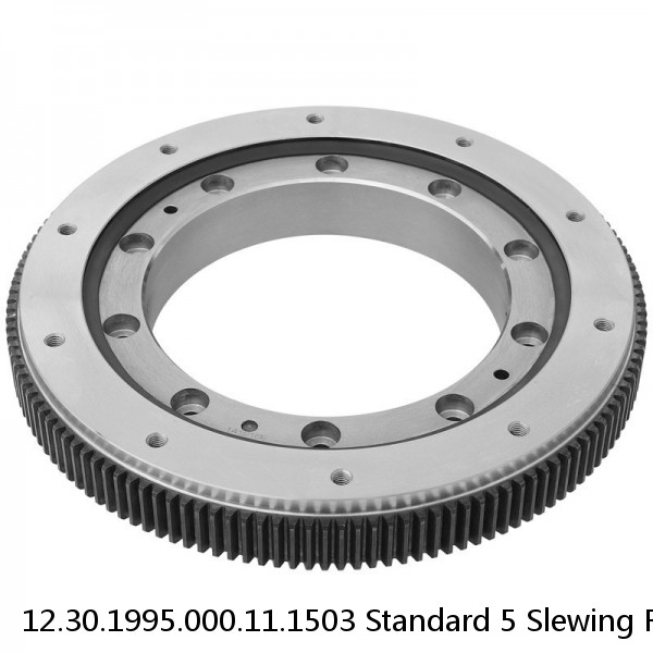 12.30.1995.000.11.1503 Standard 5 Slewing Ring Bearings #1 small image