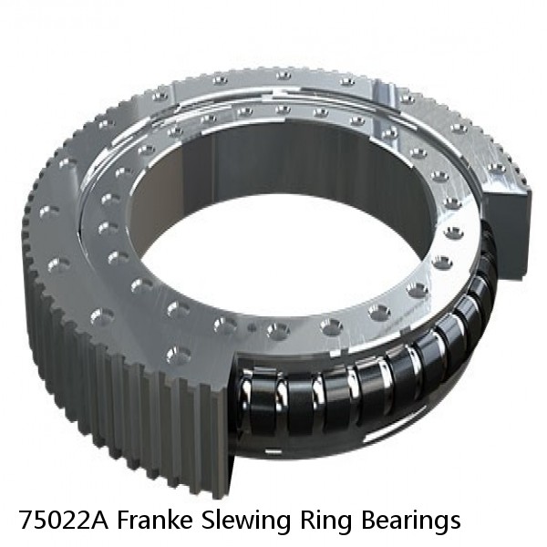 75022A Franke Slewing Ring Bearings #1 small image