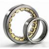 2.165 Inch | 55 Millimeter x 4.724 Inch | 120 Millimeter x 1.693 Inch | 43 Millimeter  CONSOLIDATED BEARING NJ-2311E  Cylindrical Roller Bearings #1 small image