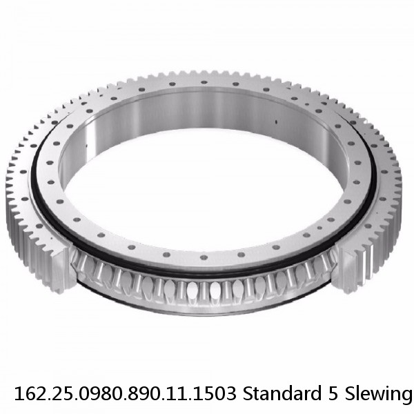 162.25.0980.890.11.1503 Standard 5 Slewing Ring Bearings #1 image