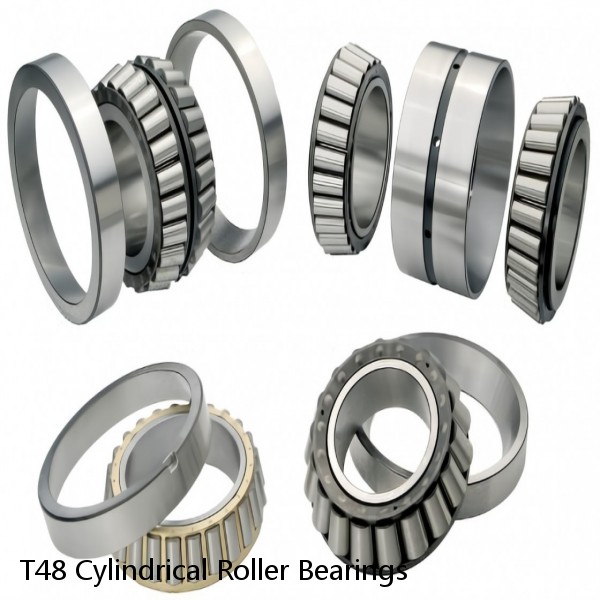 T48 Cylindrical Roller Bearings #1 image