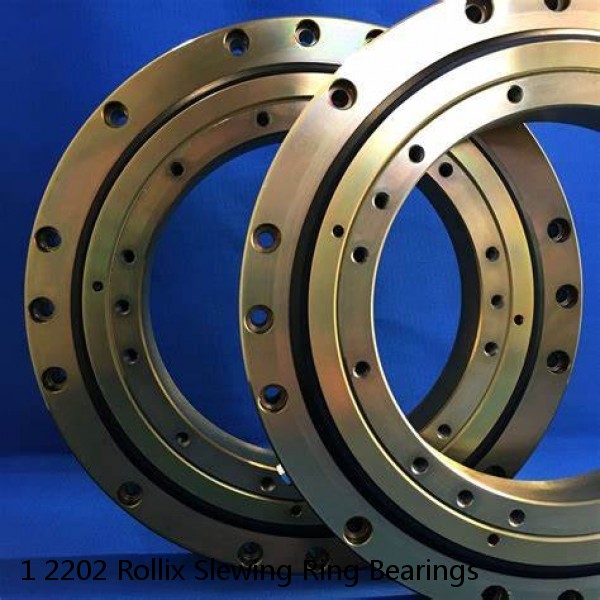 1 2202 Rollix Slewing Ring Bearings #1 image