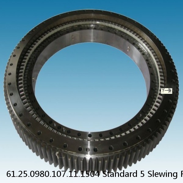 61.25.0980.107.11.1504 Standard 5 Slewing Ring Bearings #1 image