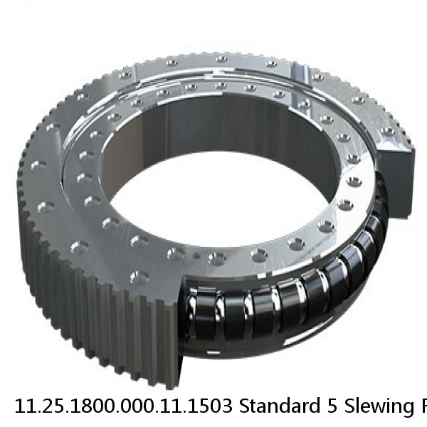 11.25.1800.000.11.1503 Standard 5 Slewing Ring Bearings #1 image