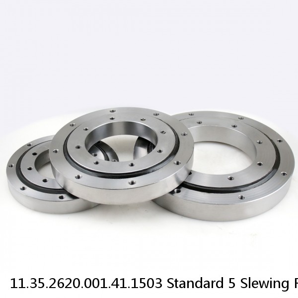 11.35.2620.001.41.1503 Standard 5 Slewing Ring Bearings #1 image