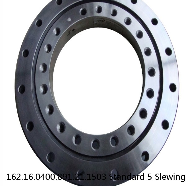 162.16.0400.891.21.1503 Standard 5 Slewing Ring Bearings #1 image