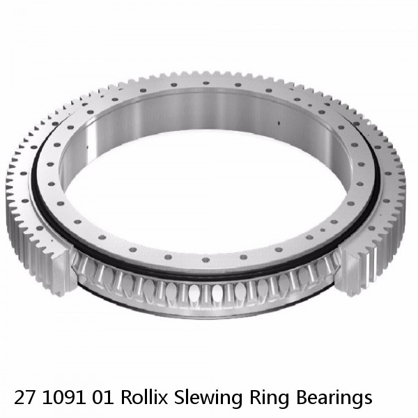 27 1091 01 Rollix Slewing Ring Bearings #1 image