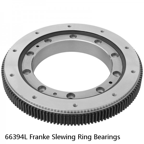 66394L Franke Slewing Ring Bearings #1 image