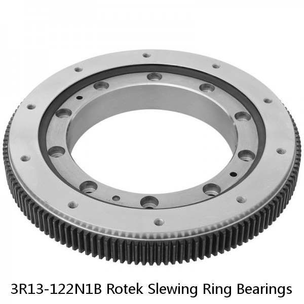 3R13-122N1B Rotek Slewing Ring Bearings #1 image