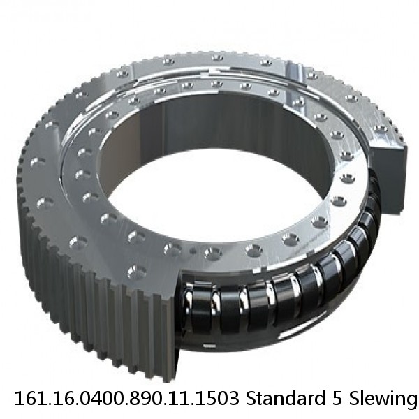 161.16.0400.890.11.1503 Standard 5 Slewing Ring Bearings #1 image