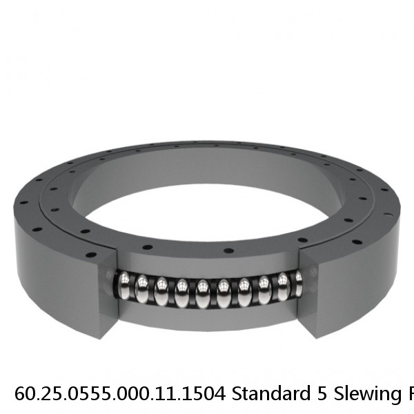 60.25.0555.000.11.1504 Standard 5 Slewing Ring Bearings #1 image