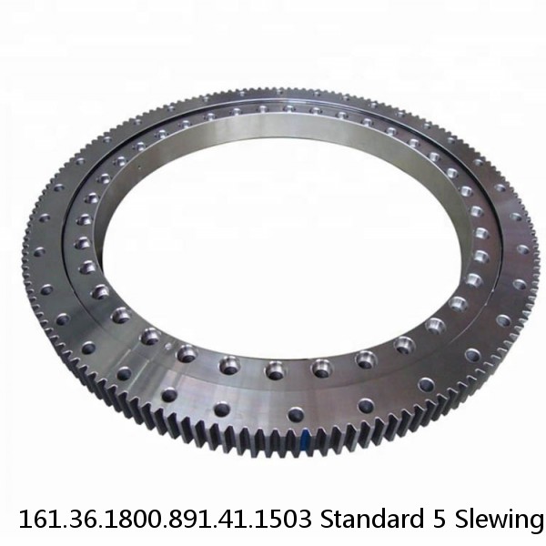 161.36.1800.891.41.1503 Standard 5 Slewing Ring Bearings #1 image