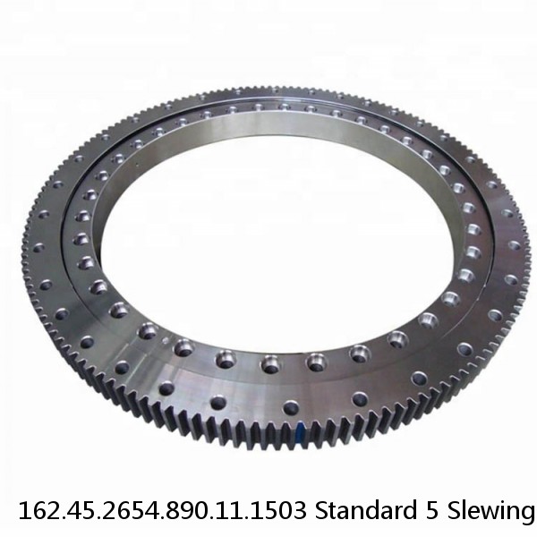 162.45.2654.890.11.1503 Standard 5 Slewing Ring Bearings #1 image