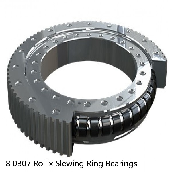 8 0307 Rollix Slewing Ring Bearings #1 image