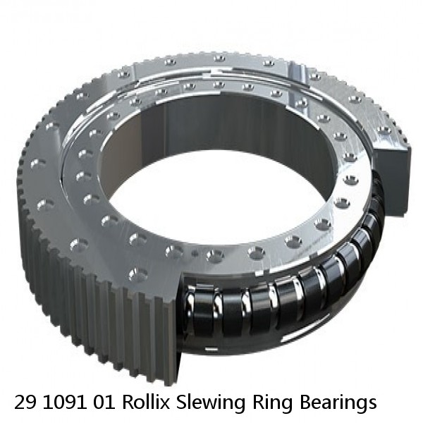 29 1091 01 Rollix Slewing Ring Bearings #1 image