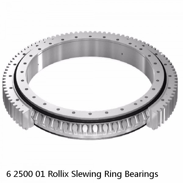 6 2500 01 Rollix Slewing Ring Bearings #1 image