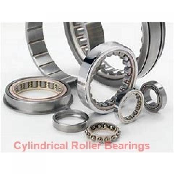 1.969 Inch | 50 Millimeter x 4.331 Inch | 110 Millimeter x 1.575 Inch | 40 Millimeter  CONSOLIDATED BEARING NJ-2310E C/4  Cylindrical Roller Bearings #1 image
