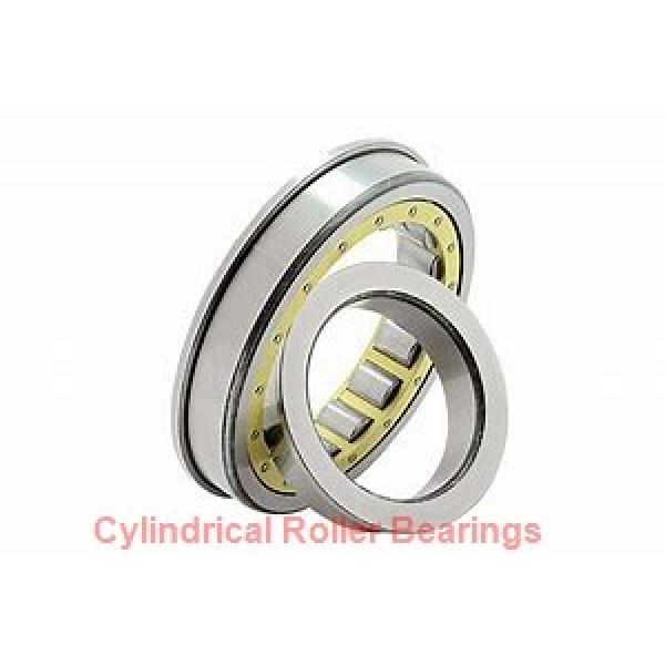 0.669 Inch | 17 Millimeter x 1.575 Inch | 40 Millimeter x 0.472 Inch | 12 Millimeter  CONSOLIDATED BEARING NUP-203  Cylindrical Roller Bearings #1 image